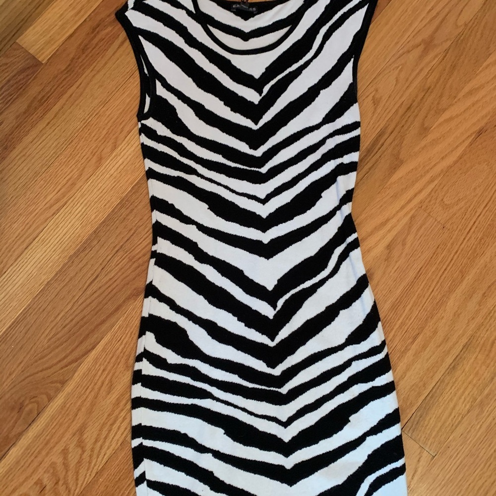 Express swether dress.